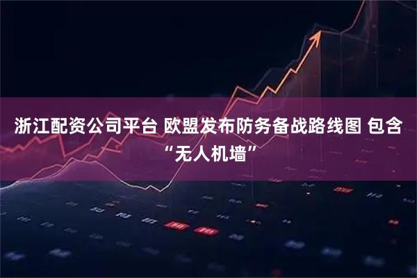 浙江配资公司平台 欧盟发布防务备战路线图 包含“无人机墙”