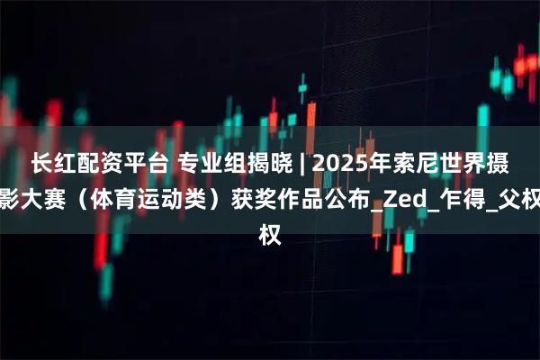 长红配资平台 专业组揭晓 | 2025年索尼世界摄影大赛(体育运动类)获奖作品公布_Zed_乍得_父权