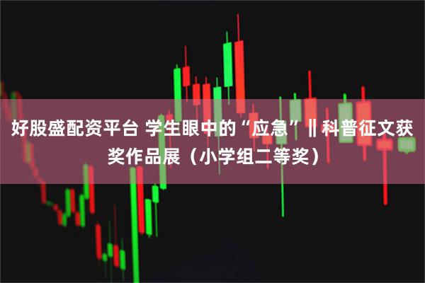 好股盛配资平台 学生眼中的“应急”‖科普征文获奖作品展（小学组二等奖）