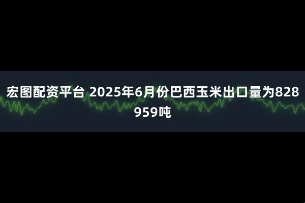 宏图配资平台 2025年6月份巴西玉米出口量为828959吨