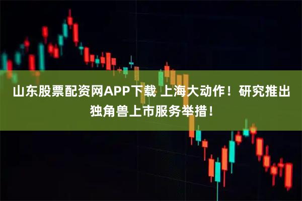 山东股票配资网APP下载 上海大动作！研究推出独角兽上市服务举措！