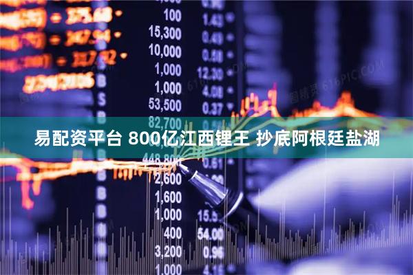 易配资平台 800亿江西锂王 抄底阿根廷盐湖